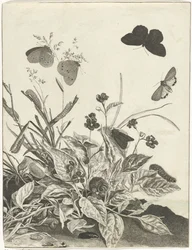 Plantas con mariposas y orugas