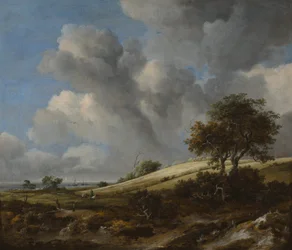 Un campo de maíz con el Zuiderzee al fondo, c. 1660