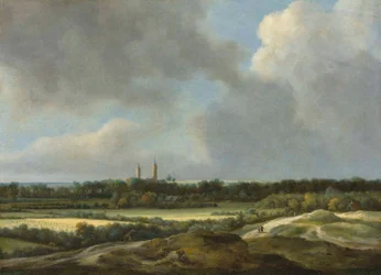 Un extenso paisaje con campos de cereales, Heemstede más allá
