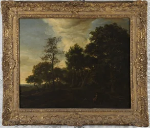Paisaje forestal