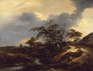 Paisaje con dunas