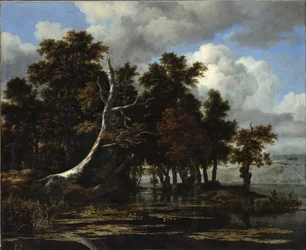 Robles junto a un lago con nenúfares