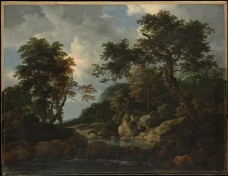 El arroyo del bosque
