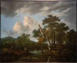 Paisaje forestal con un estanque