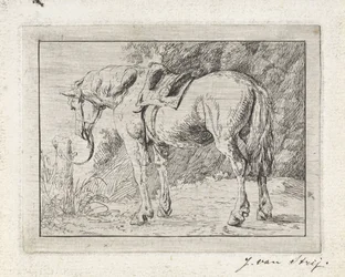 Caballo ensillado atado a un poste