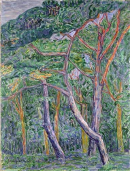 Pinos