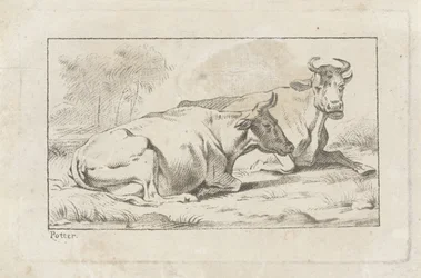 Dos vacas mentirosas