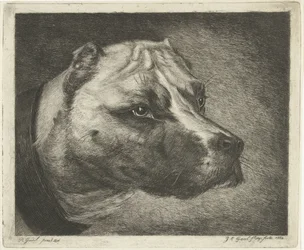cabeza de perro con collar