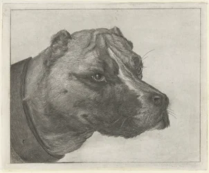 cabeza de perro con collar