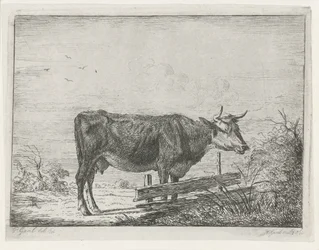 Vaca de pie junto a una valla