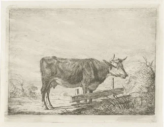 Vaca de pie junto a una valla