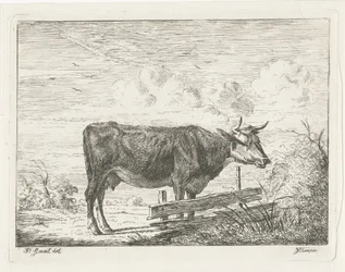 Vaca de pie junto a una valla