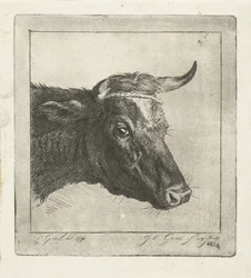 Cabeza de vaca con cuerda alrededor de los cuernos