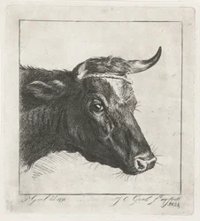 Cabeza de vaca con cuerda alrededor de los cuernos