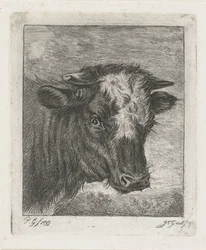 Cabeza de vaca con col blanca