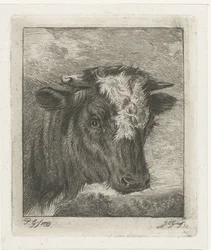 Cabeza de vaca con col blanca