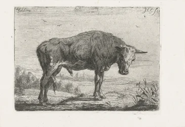 toro de pie