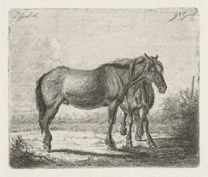 Dos caballos