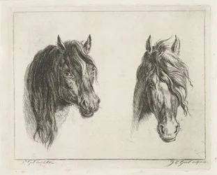 dos cabezas de caballo