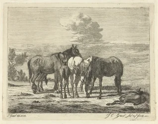 Cuatro caballos y dos potros