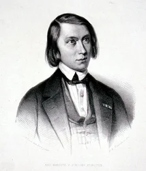 Retrato de Josephus Hermanus Verhulst (1816-91) (grabado)