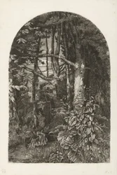 bosque con arroyo