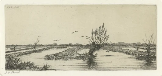 Lago de turbera