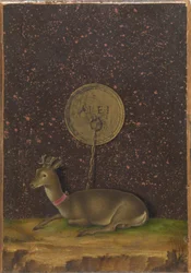 Retrato de Alvise Contarini(); (verso) Un corzo atado