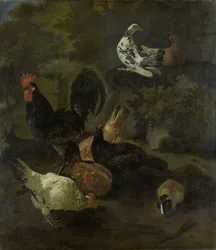 Un gallo, gallinas, palomas y una marmota