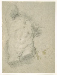 Dibujo de un torso masculino