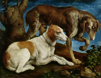 Dos Perros de Caza Atados a un Tocón de Árbol, c.1548-50