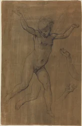 Un ángel en vuelo, c.1594 (tiza negra y grafito sobre papel preparado marrón)