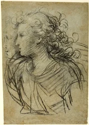 Vista de medio cuerpo de una mujer de perfil a la izquierda (recto); Vista de medio cuerpo de una figura en perfil de tres cuartos (verso)