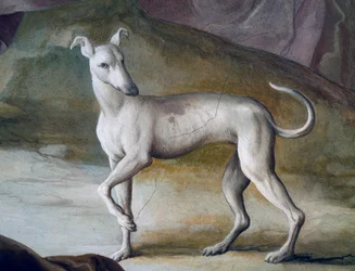 Perro (detalle)