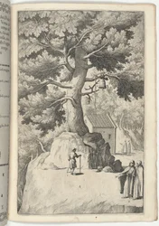 Árbol de haya con la campana (Faggio della campana) [lámina X]