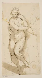 Desnudo femenino caminando