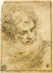 Cabeza de Anciano Barbudo (recto); Boceto Decorativo de Flor y Hojas (verso)