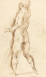 Hombre desnudo visto desde atrás [verso]