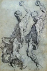Estudio de figuras