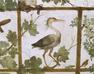 Ibis, de un fresco de un aviario en la Villa Medici, c.1576-77