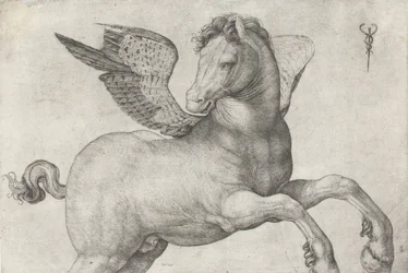 Pegaso, 1509-16