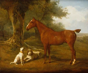 Un cazador de castañas con un briard y un dálmata (aceite)