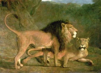 Un león y una leona en un valle rocoso (óleo sobre lienzo)