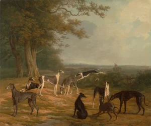 Nueve galgos en un paisaje