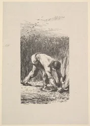 El segador