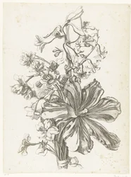 Ramo con tulipán, jacinto, brodiaea y narcisos Diverse Fleurs mises en Boucquets (título de la serie)