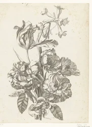Ramo de peonías, tulipán y brodiaea Diverse Fleurs mises en Boucquets (título de la serie)