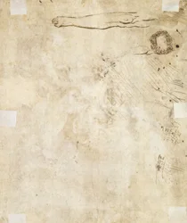Estudio de una pierna, adorno y garabatos, 1610-17