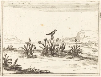 Pájaro posado en un cardo
