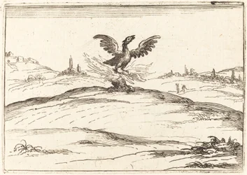 Fénix ardiente